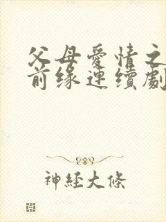 父母爱情之再续前缘连续剧