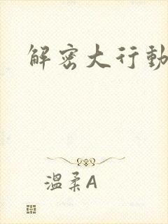 解密大行动