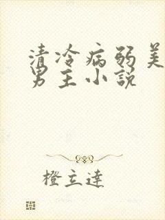 清冷病弱美人双男主小说