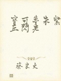 宝可梦朱紫皮卡丘闪光