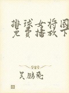 排球女将国语版免费播放下载封面
