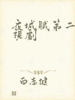 夜城赋第二季电视剧