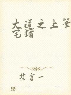 大道之上笔趣阁宅猪