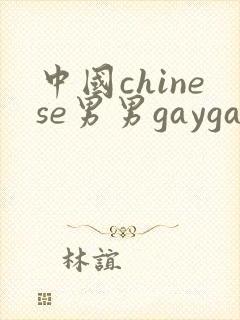 中国chinese男男gaygay网站