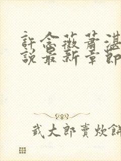 许念薇萧湛明小说最新章节免费阅读