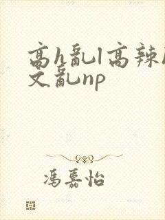 高h乱l高辣h文乱np