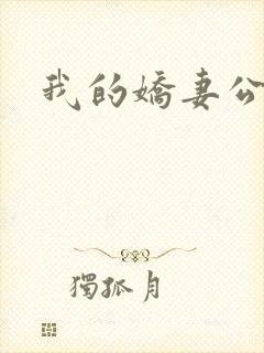 我的娇妻公务员