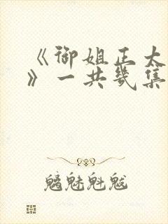 《御姐正太御姐》一共几集