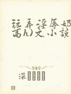 玩弄淫辱奶头(高h)文小说