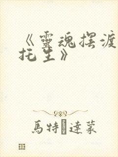 《灵魂摆渡4—托生》