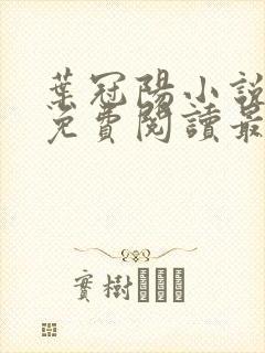 叶冠阳小说全文免费阅读最新章节