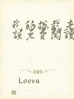 我的总裁老婆小说免费阅读封面