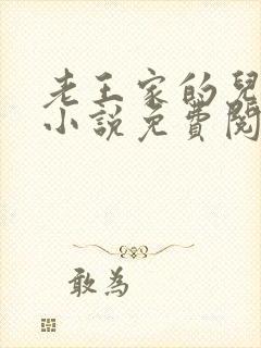 老王家的儿媳妇小说免费阅读封面