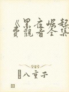 《黑夜崛起》免费观看全集