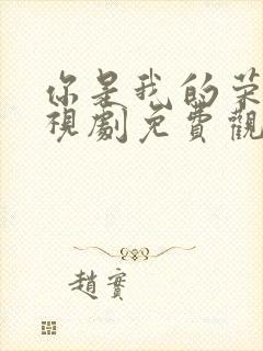 你是我的荣耀电视剧免费观看完整版高清