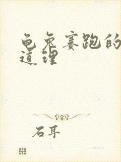 龟兔赛跑的寓言道理