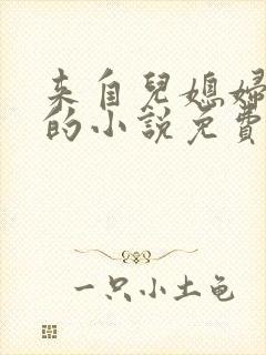 来自儿媳妇的爱的小说免费阅读