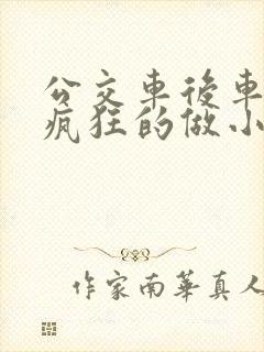 公交车后车座的疯狂的做小