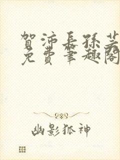 贺沛长孙芸全文免费笔趣阁封面