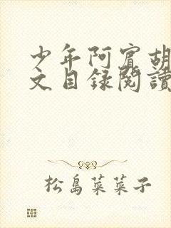 少年阿宾胡太全文目录阅读在线