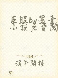 臣服by墨青城小说免费阅读全文在线阅笔趣