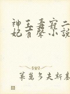 神王毒宠二嫁王妃有声小说