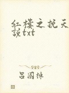 红楼之挽天倾小说txt