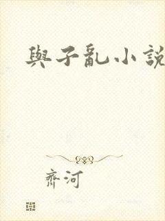 与子乱小说封面