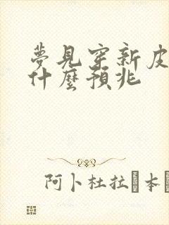 梦见穿新皮鞋是什么预兆