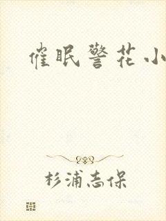 催眠警花小说封面