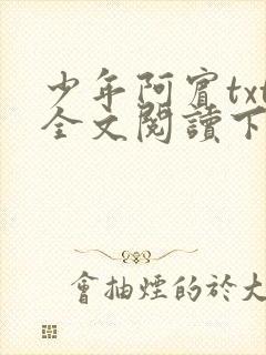 少年阿宾txt全文阅读下载