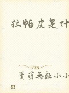 拉帕皮是什么皮