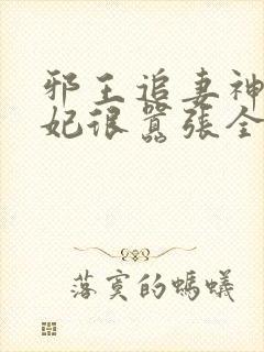 邪王追妻神医狂妃很嚣张全文免费