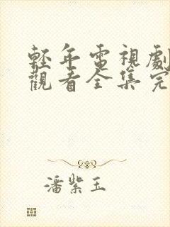 轻年电视剧免费观看全集完整版高清封面