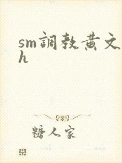 sm调教黄文高h