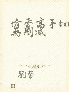 偷香高手txt无删减