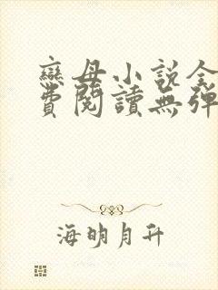 恋母小说全文免费阅读无弹窗笔趣阁