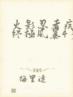 火影忍者疾风传终极风暴4多少钱