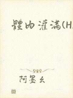 体内灌满(H)封面