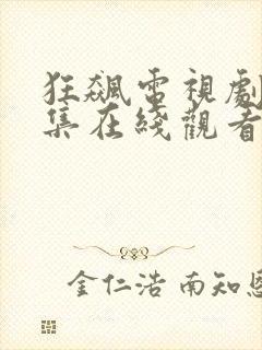 狂飙电视剧40集在线观看免费流畅