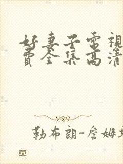 好妻子电视剧免费全集高清在线观看