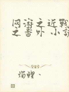 网游之近战法师之番外 小说