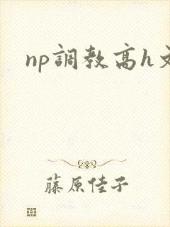 np调教高h文