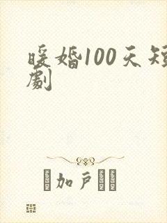 暖婚100天短剧