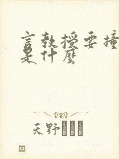 言教授要撞坏了是什么