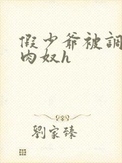 假少爷被调教成肉奴h