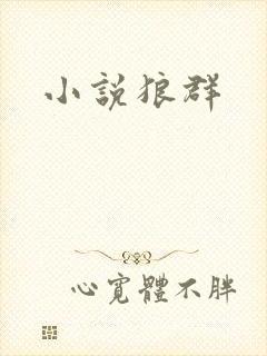 小说狼群