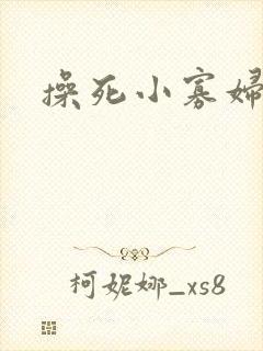 操死小寡妇