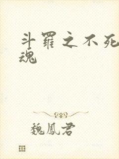 斗罗之不死鸟武魂