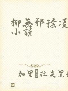 柳无邪徐凌雪的小说封面